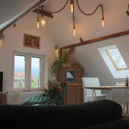 Brzoza I Swierk Z Widokiem Na Gory * Jelenia Gora