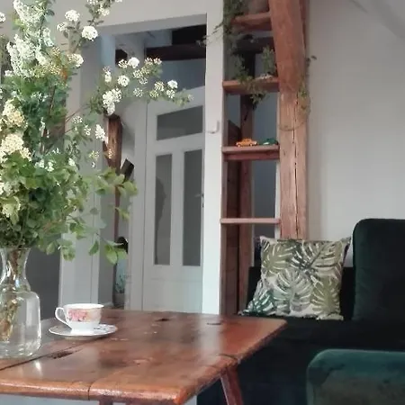 Brzoza I Swierk Z Widokiem Na Gory Jelenia Góra