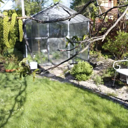 Brzoza I Swierk Z Widokiem Na Gory Appartement Jelenia Góra