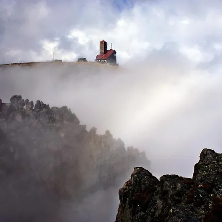 Brzoza I Swierk Z Widokiem Na Gory * Jelenia Góra