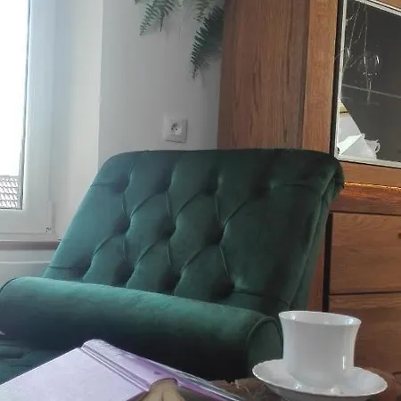 Brzoza I Swierk Z Widokiem Na Gory W Centrum Uzdrowiska Przy Parku I Termach Appartamento *