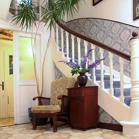 Brzoza I Swierk Z Widokiem Na Gory