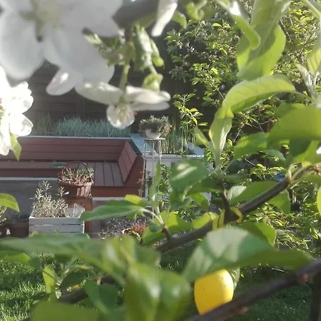 Apartment Brzoza I Swierk Z Widokiem Na Gory W Centrum Uzdrowiska Przy Parku I Termach Jelenia Góra