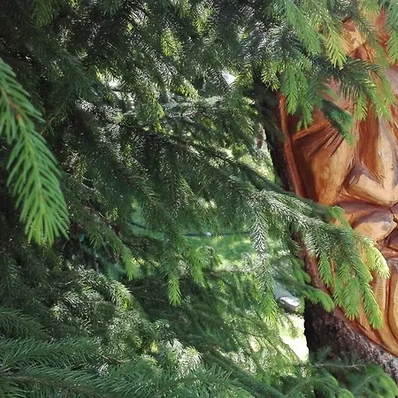 Appartement Brzoza I Swierk Z Widokiem Na Gory Jelenia Góra