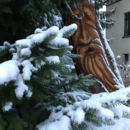 Brzoza I Swierk Z Widokiem Na Gory W Centrum Uzdrowiska Przy Parku I Termach Jelenia Góra