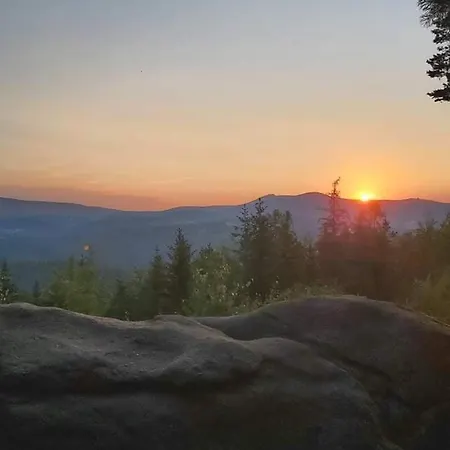 Brzoza I Swierk Z Widokiem Na Gory * Jelenia Góra