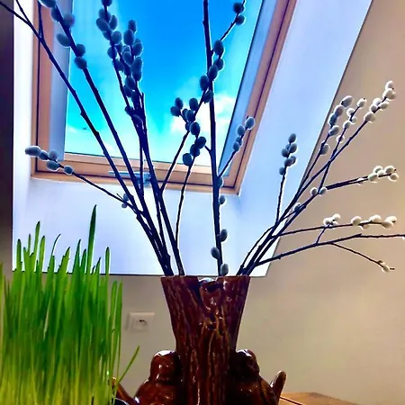 Brzoza I Swierk Z Widokiem Na Gory Appartement