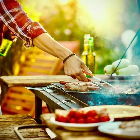 Brzoza I świerk Z Widokiem Na Góry