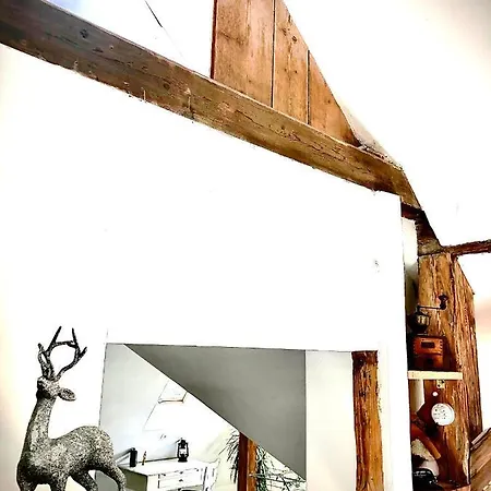 Brzoza I Swierk Z Widokiem Na Gory