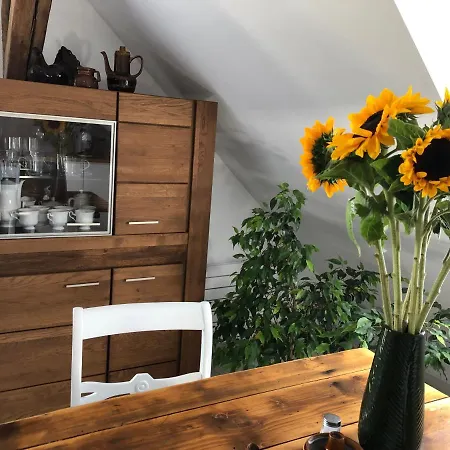 Brzoza I Swierk Z Widokiem Na Gory Appartement Jelenia Góra