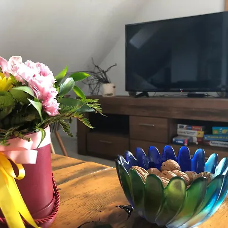 Brzoza I świerk Z Widokiem Na Góry Jelenia Góra