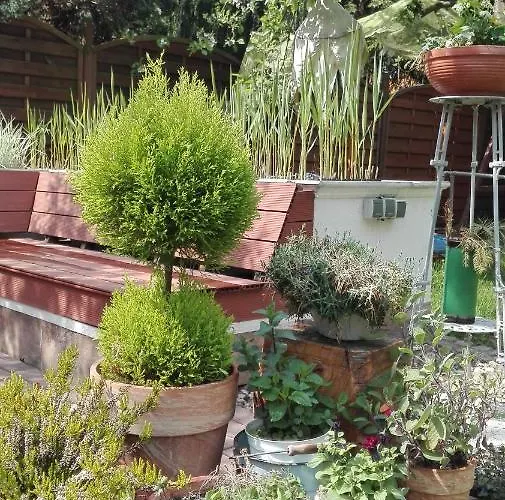 Brzoza I świerk Z Widokiem Na Góry Apartament