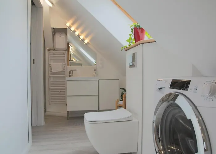 Brzoza I świerk Z Widokiem Na Góry Apartament Jelenia Góra