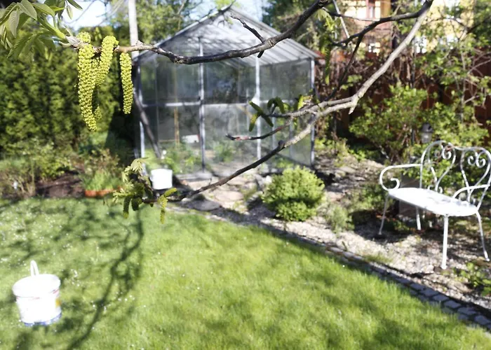 Brzoza I Swierk Z Widokiem Na Gory Lejlighed Jelenia Góra