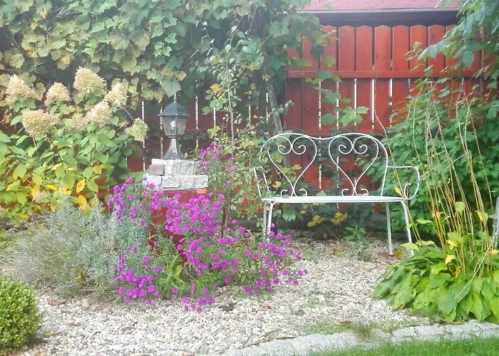 Brzoza I świerk Z Widokiem Na Góry Apartament *