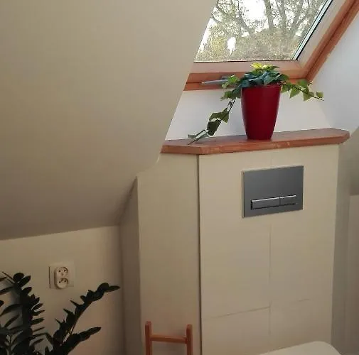 Brzoza I świerk Z Widokiem Na Góry Apartament Jelenia Góra