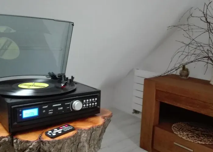 Brzoza I świerk Z Widokiem Na Góry Apartament