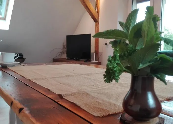 Brzoza I świerk Z Widokiem Na Góry