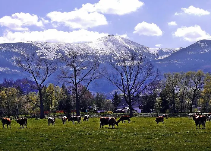 Apartament Brzoza I świerk Z Widokiem Na Góry