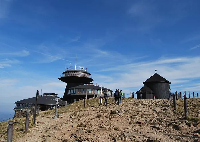 Brzoza I Swierk Z Widokiem Na Gory W Centrum Uzdrowiska Przy Parku I Termach * Jelenia Góra