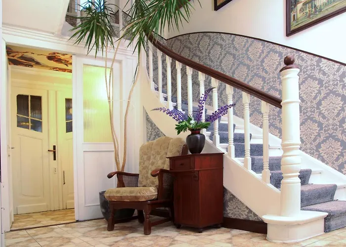 Brzoza I Swierk Z Widokiem Na Gory