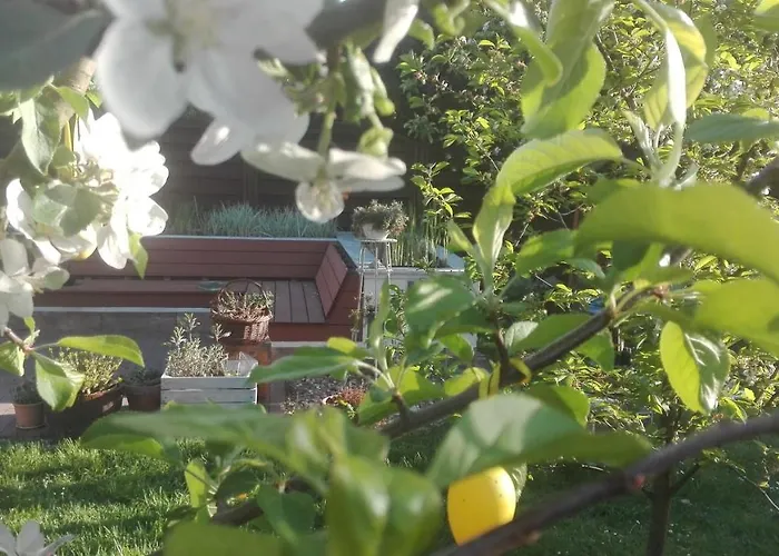 Lejlighed Brzoza I Swierk Z Widokiem Na Gory Jelenia Góra