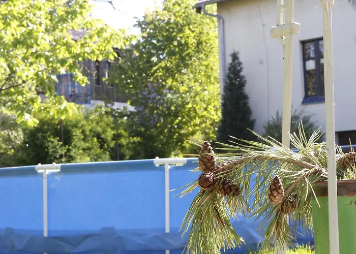 Apartament Brzoza I świerk Z Widokiem Na Góry *