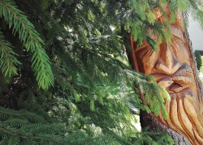 Apartment Brzoza I Swierk Z Widokiem Na Gory W Centrum Uzdrowiska Przy Parku I Termach Jelenia Góra