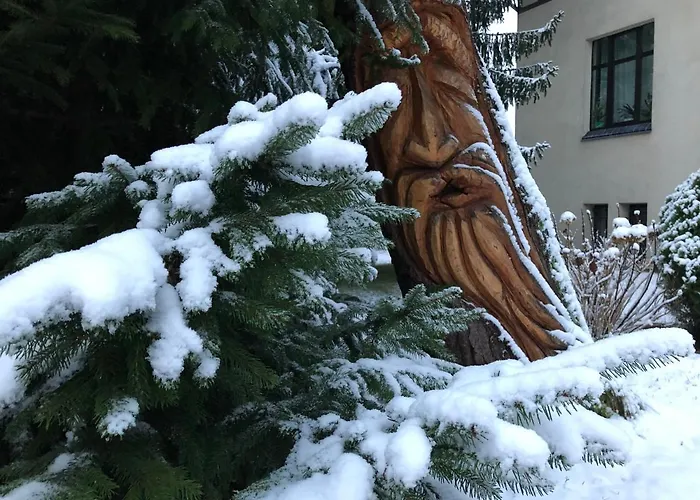 Brzoza I świerk Z Widokiem Na Góry Jelenia Góra