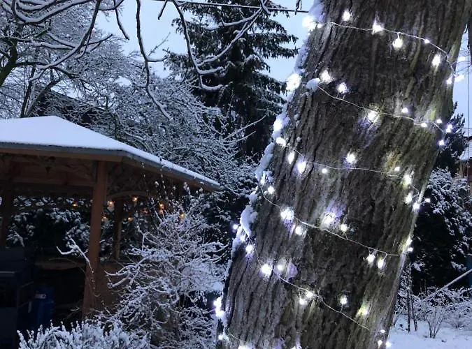 Brzoza I świerk Z Widokiem Na Góry Apartament