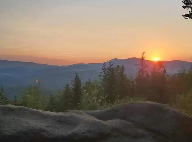 Brzoza I Swierk Z Widokiem Na Gory * Jelenia Góra