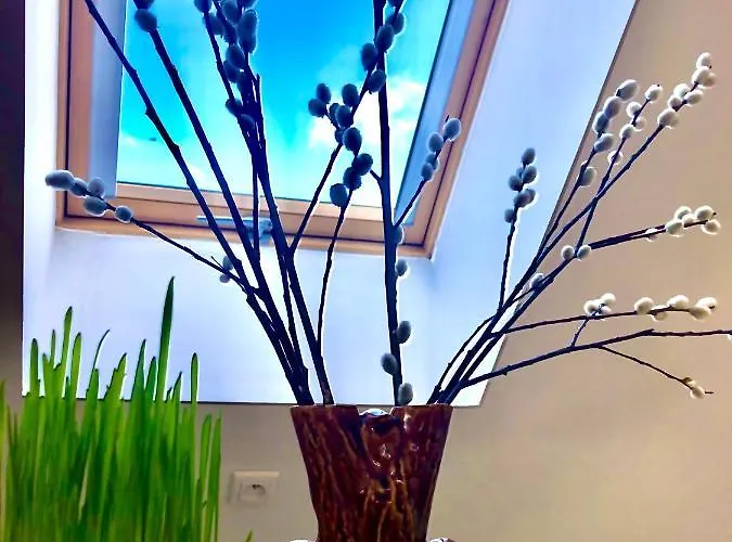 Brzoza I świerk Z Widokiem Na Góry Apartament