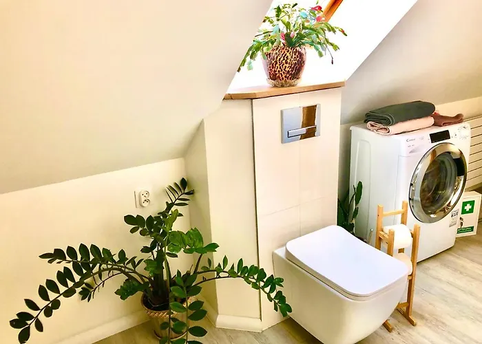 Apartament Brzoza I świerk Z Widokiem Na Góry