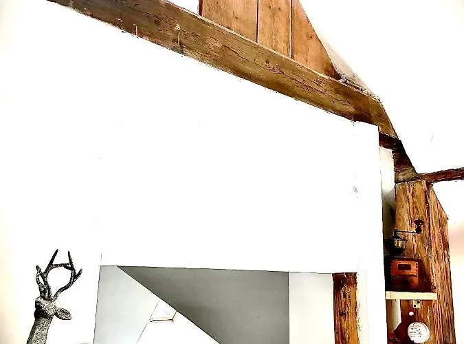 Brzoza I Swierk Z Widokiem Na Gory