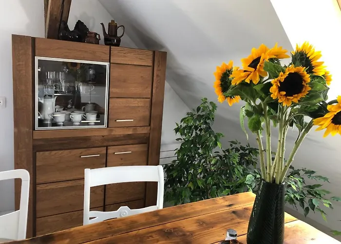 Brzoza I świerk Z Widokiem Na Góry Apartament Jelenia Góra