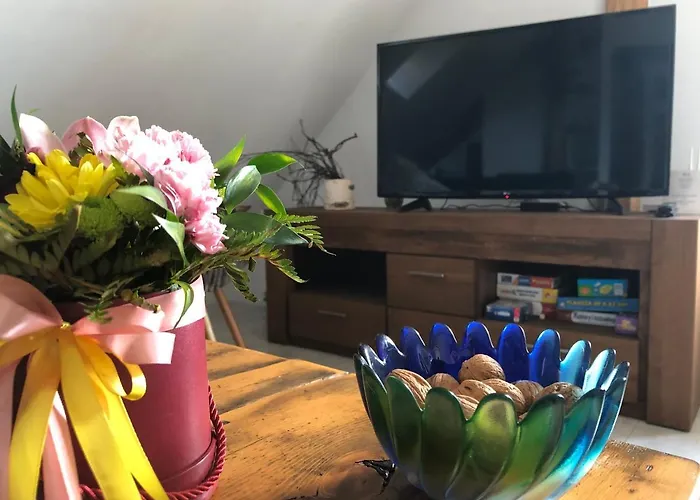 Brzoza I Swierk Z Widokiem Na Gory Jelenia Góra