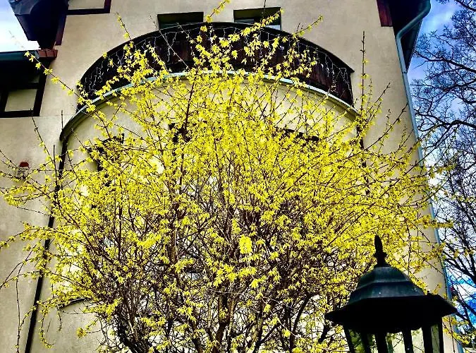 Apartament Brzoza I świerk Z Widokiem Na Góry