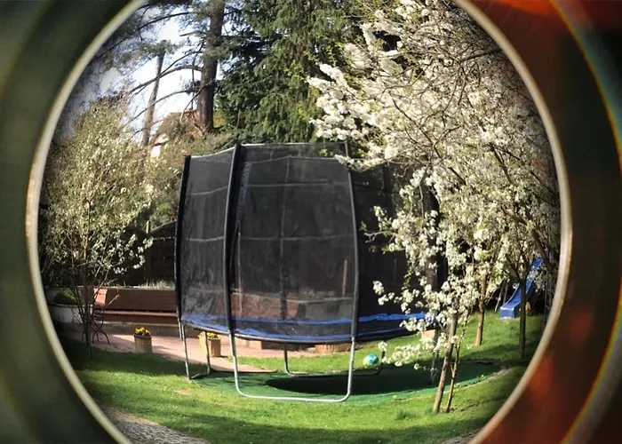 Lejlighed Brzoza I Swierk Z Widokiem Na Gory